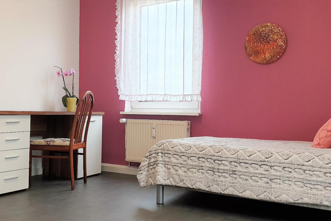 Apartment Bayreuth, Grosse Ferienwohnung Im Haus Mit Kunst, 3 Schlafzimmer, Kueche, Parkplatz Εξωτερικό φωτογραφία