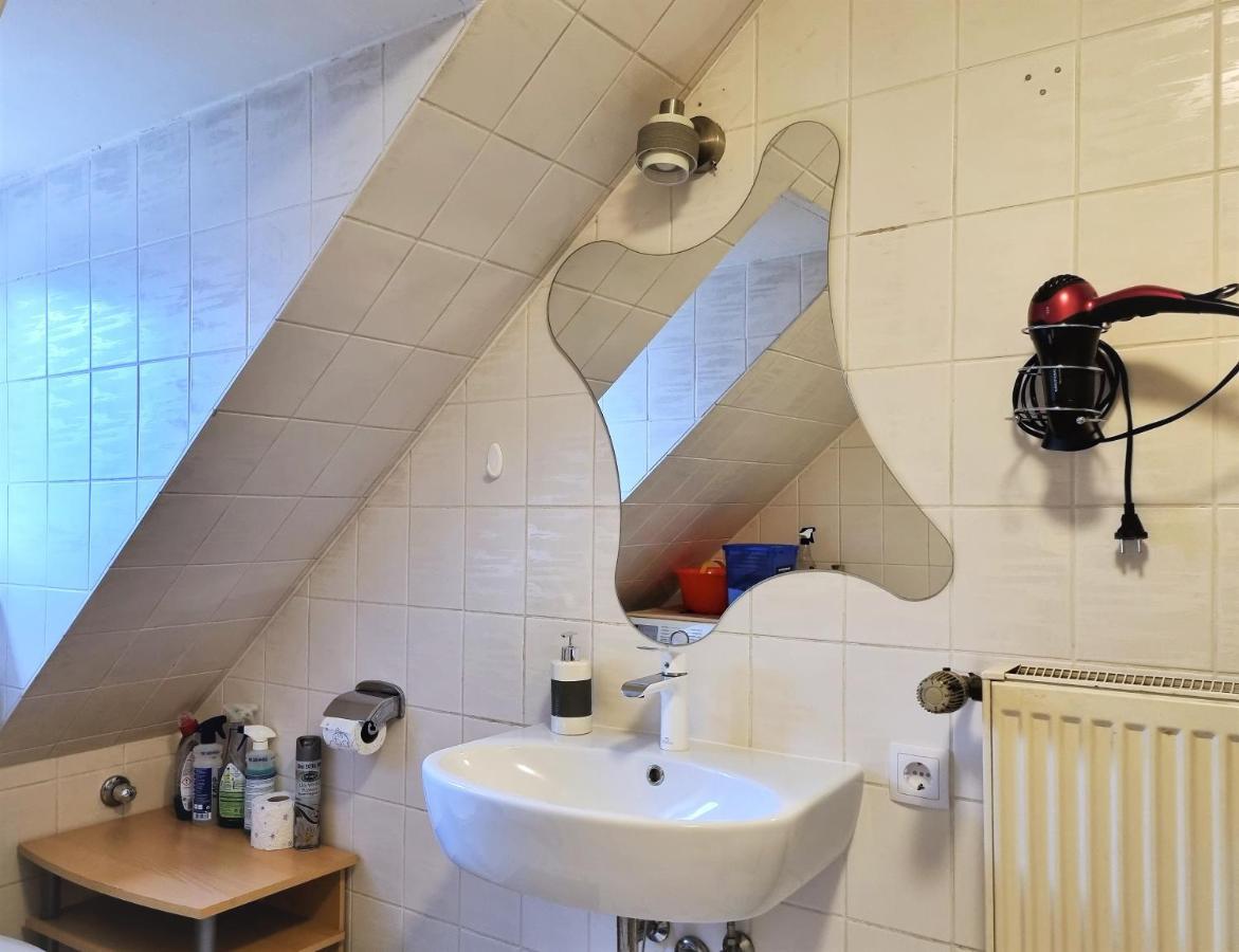 Apartment Bayreuth, Grosse Ferienwohnung Im Haus Mit Kunst, 3 Schlafzimmer, Kueche, Parkplatz Εξωτερικό φωτογραφία