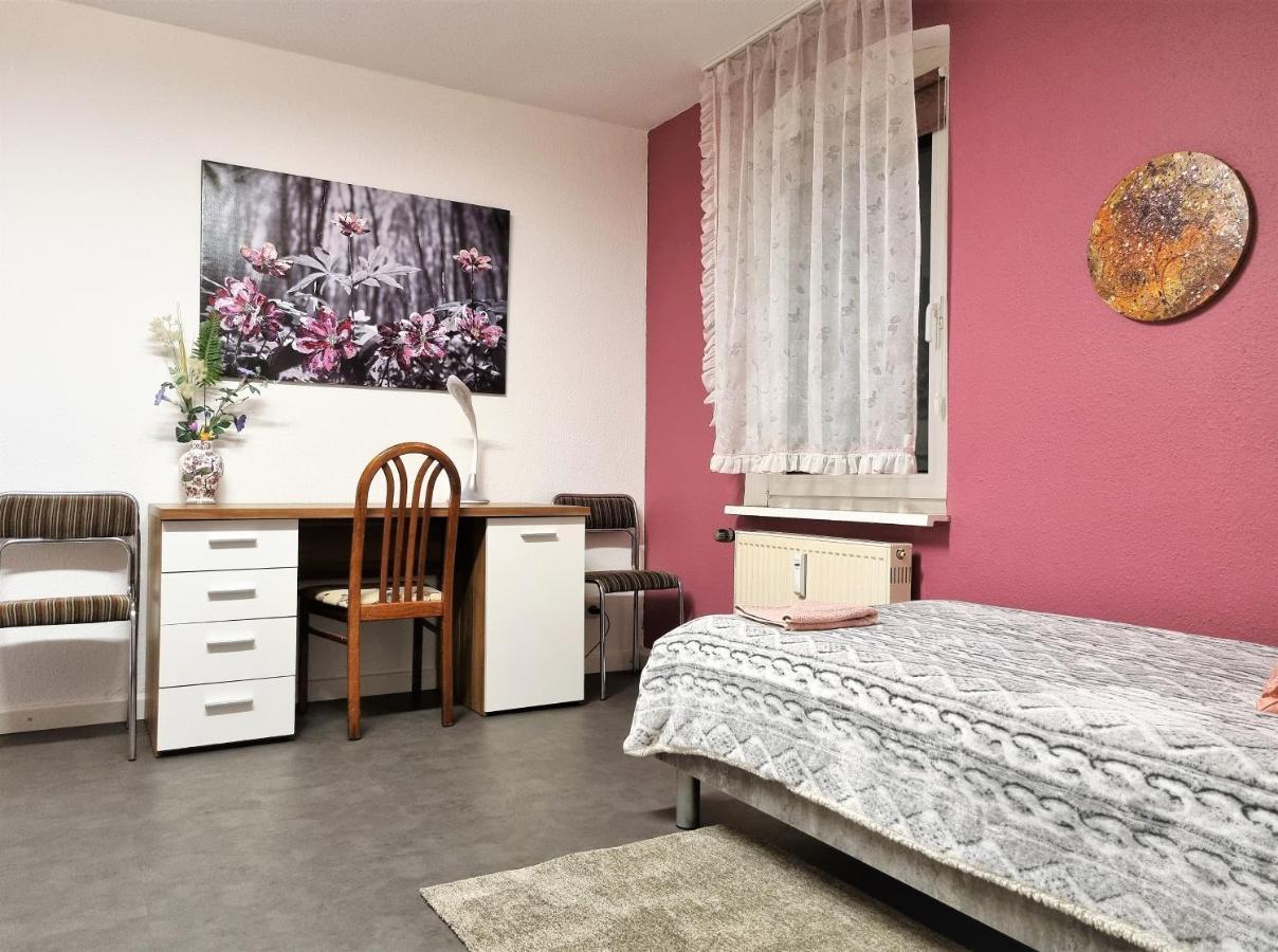 Apartment Bayreuth, Grosse Ferienwohnung Im Haus Mit Kunst, 3 Schlafzimmer, Kueche, Parkplatz Εξωτερικό φωτογραφία