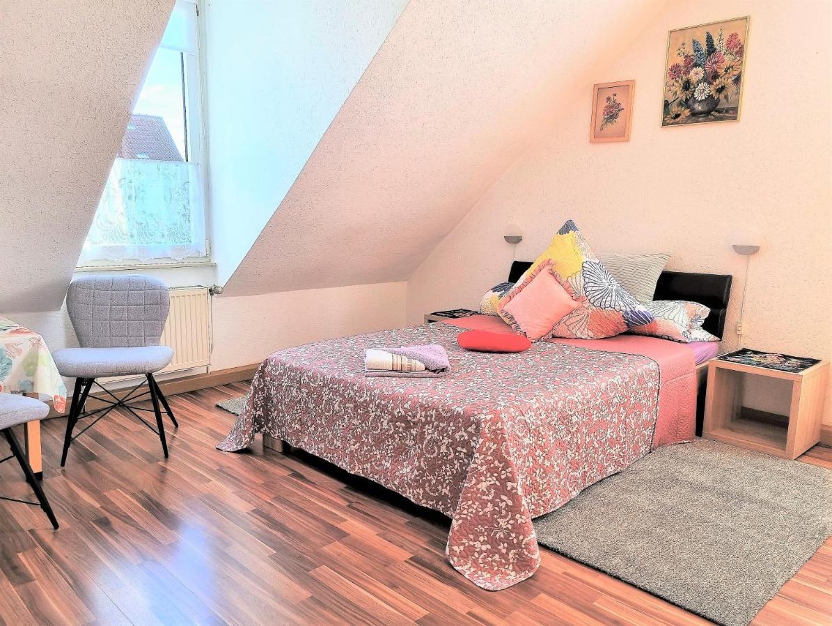 Apartment Bayreuth, Grosse Ferienwohnung Im Haus Mit Kunst, 3 Schlafzimmer, Kueche, Parkplatz Εξωτερικό φωτογραφία